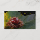 Search for nuts business cards Nature