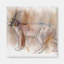 Search for wildcat magnets Pointed ears