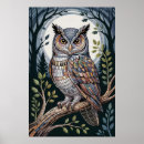 Search for nocturnal posters Nature