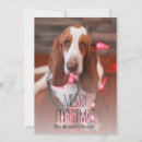 Search for hound christmas cards Colour image