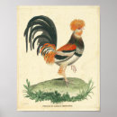 Search for french rooster posters Farm