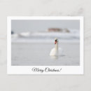Search for seasons greetings art Merry