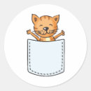Search for cat pocket stickers Kitten