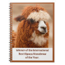 Search for alpaca notebooks Cute