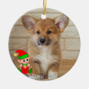 Search for corgi christmas decor Festive
