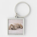 Search for flooring key rings Baby animals