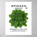 Search for spinach posters Vintage