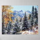 Search for first snow posters Forest