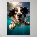 Search for swim design posters Animal lover