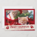Search for meowy christmas cards Cute