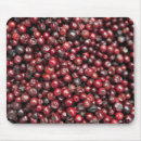Search for bulk electronics Food