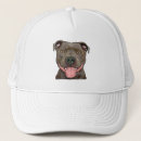 Search for staffy hats Staffie