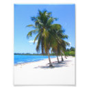 Search for cuban posters White