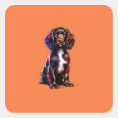 Search for boykin stickers Dog