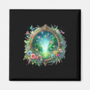 Search for mirror magnets Fantasy