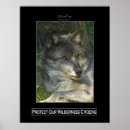 Search for wildlife support posters Animals
