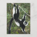 Search for threatening postcards Animal