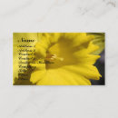 Search for daffodil photography Yellow