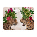 Search for leopard magnets Steampunk