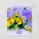 Search for pansies postcards Garden