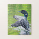 Search for loon puzzles Nature