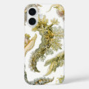 Search for slug iphone cases Ernst haeckel