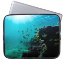 Search for aquatic electronics Reef