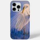 Search for blue heron iphone cases Egret