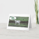 Search for cow cards 40th