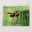 Search for dragonfly save the dates Red
