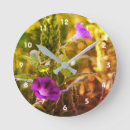 Search for weed clocks Floral