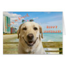 Search for funny labrador birthday cards Retriever