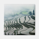 Search for cropland magnets Agriculture