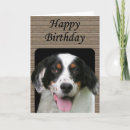 Search for english setter cards Dogs