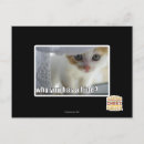 Search for why postcards I can has cheezburger
