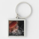 Search for red blood cell key rings Horizontal