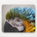 Search for macaws mousepads Animal