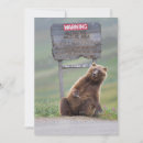 Search for brown bear cards Animal