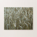 Search for cereal puzzles Wheat