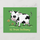 Search for friesian postcards Cattle