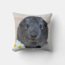 Search for guinea pig cushions Cute