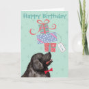 Search for newfoundland cards Newfie