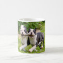 Search for play with your dog mugs Dogs