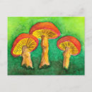 Search for mushroom postcards Magic