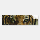 Search for white tiger bumper stickers Wild