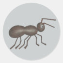 Search for cartoon insect stickers Ants