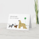 Search for leashes cards Dog