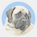 Search for mastiff stickers Old english mastiff