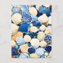 Search for seashell decorations cards Beach