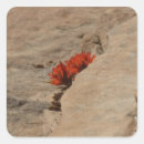 Search for paintbrush stickers Nature